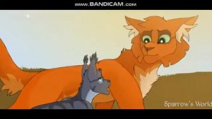 Коты-Воители/Белка/Клип- Rider