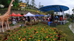 Munnar Flower Show (2023) Botanical Garden Munnar