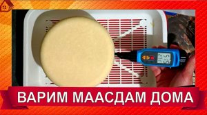 МААСДАМ рецепт подробно в домашних условиях в кастрюле на кухне