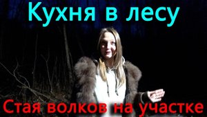 Давно мечтал об этом и вот свершилось! Мелкие волки носятся повсюду.