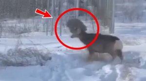 Если бы не фото, то никто бы не поверил! Посмотрите что здесь произошло!
