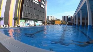 Термы Видное