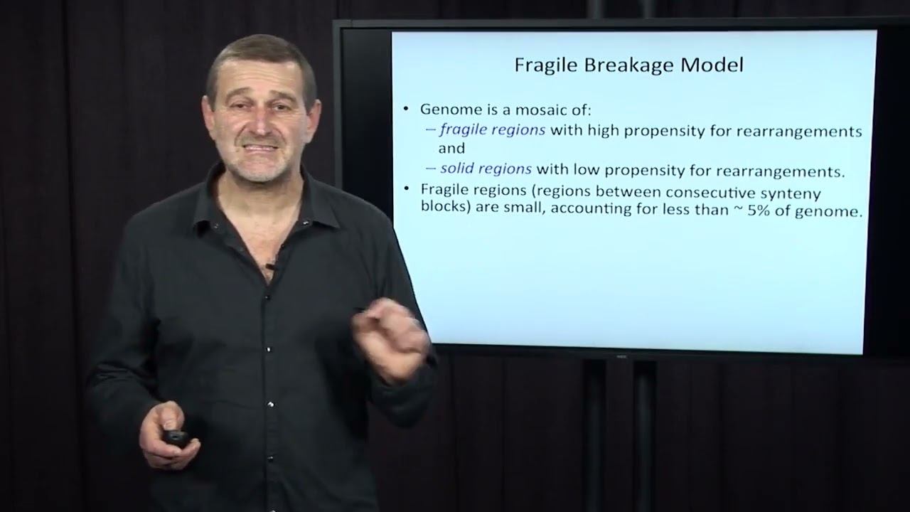 Exploring Rearrangement Hotspots in the Human Genome: Unraveling Genetic Instability | Lecture 17