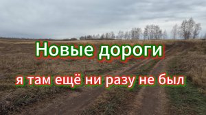 Путешествие по новым дорогам, один в степях, холмах и березовой посадки, октябрь 2024