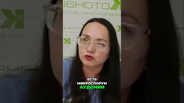 Все о микроспории | виды и как избежать заражения