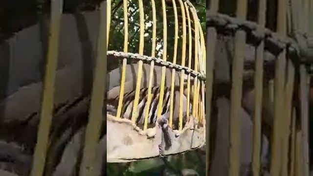 23 июня 2021 г. смотреть онлайн