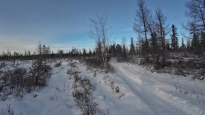 Рыбалка в Сибири. Ленок, хариус. Провалились под лед. Ехали по лесу на УАЗ