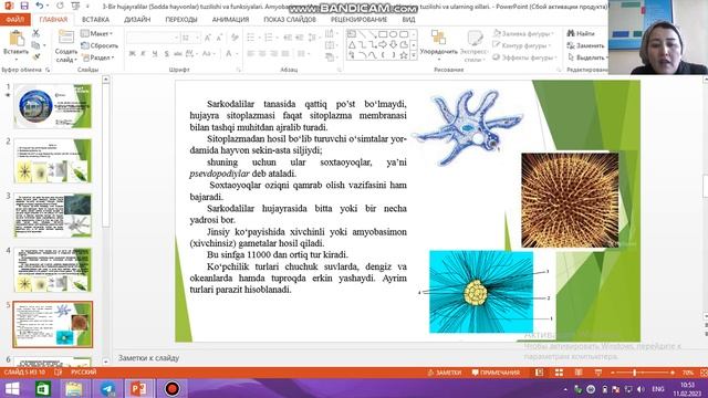 Yalangoch qizlar poyga mashinasini yuvishadi