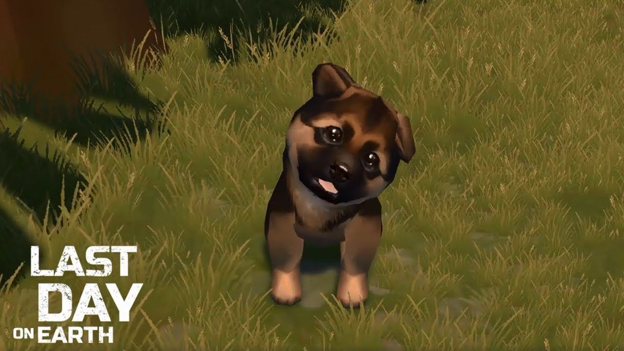 Last day on earth survival щенки. Last day on earth survival щенки. Ласт дей собаки. Хаски ласт дей. Last day on earth survival щенки.