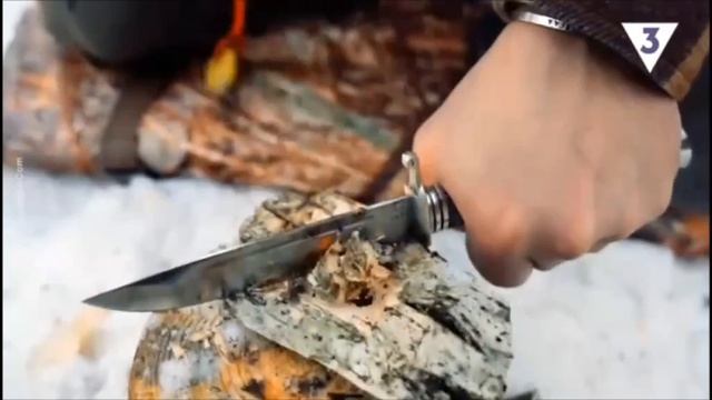 Выживание