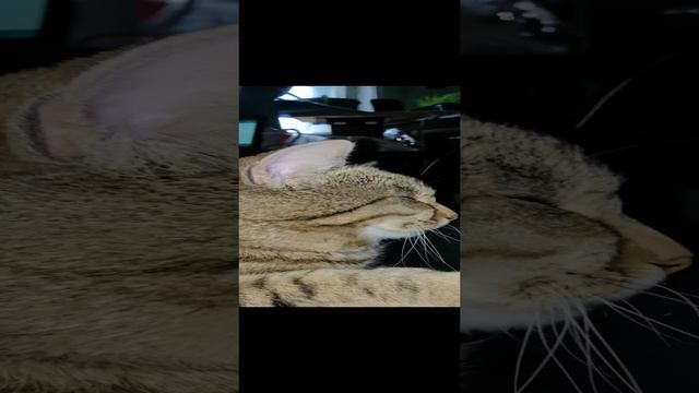 2024.11.30_1434