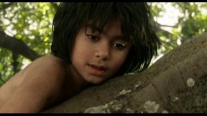 Книга джунглей Маугли отдаёт долг Балу