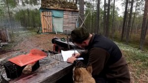 НОЧЬЮ ПРИШЛИ ВОЛКИ. ЖЁСТКАЯ НОЧЬ В ЛЕСНОЙ ХИЖИНЕ. ПЕРВЫЙ РАЗ ТАКОЕ В УГОДЬЯХ. СОБАКА В ОПАСНОСТИ