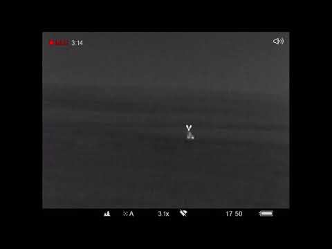 Охота на хищника смотреть онлайн