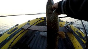 Пока семья спит в домике! Ночная рыбалка на щуку! Белые ночи Северная Карелия!