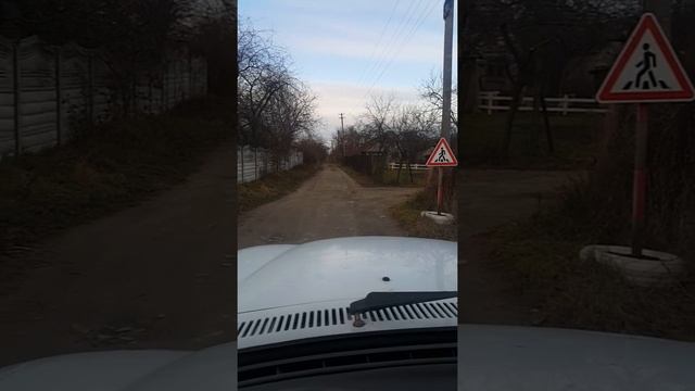 [Natalex] Пешеходный переход #shorts