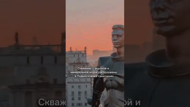 Отдых на море в Подмосковье #shorts #отдыхнаморе #отдыхвподмосковье