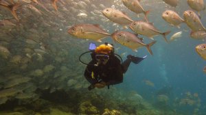 Невероятный Лембех Ноябрь 2013