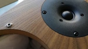Audio Physic Classic 5 | Deep Unboxing