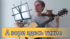 А зори здесь тихие (Любэ) - Фингерстайл на гитаре ноты+табы