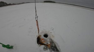 ХОРОШИМИ ДЕЛАМИ ПРОСЛАВИТЬСЯ НЕЛЬЗЯ. РЫБАЛКА В КАРЕЛИИ.