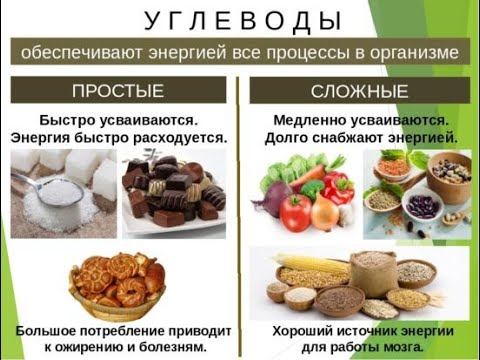 4 УРОК. УГЛЕВОДЫ
