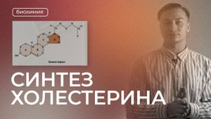 Синтез холестерола | Биохимия (субстраты, разбор реакций)