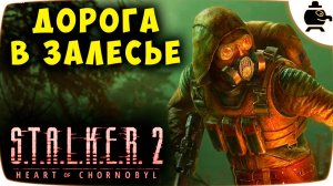 Прохождение Сталкер 2 Дорога в Залесье S.T.A.L.K.E.R. 2 Heart of Chornobyl #stalker2