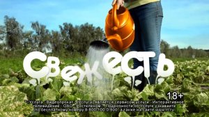 Ростелеком Свежесть