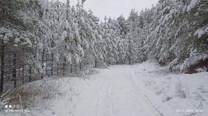 Дорога в зиму.