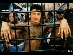 Соло и Дред самые смешные моменты Дота 2