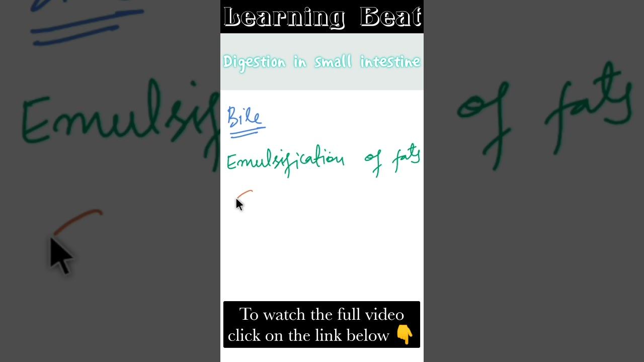 Emulsification of fats|Digestion in small intestine|JKSSB JKPSC science portion.