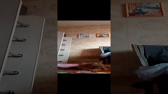 леплю из пластилина