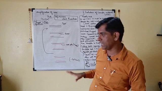 Biotechnology Principles Process PCR competent cell heat shock Bioreactors sparger downstream Proce смотреть онлайн