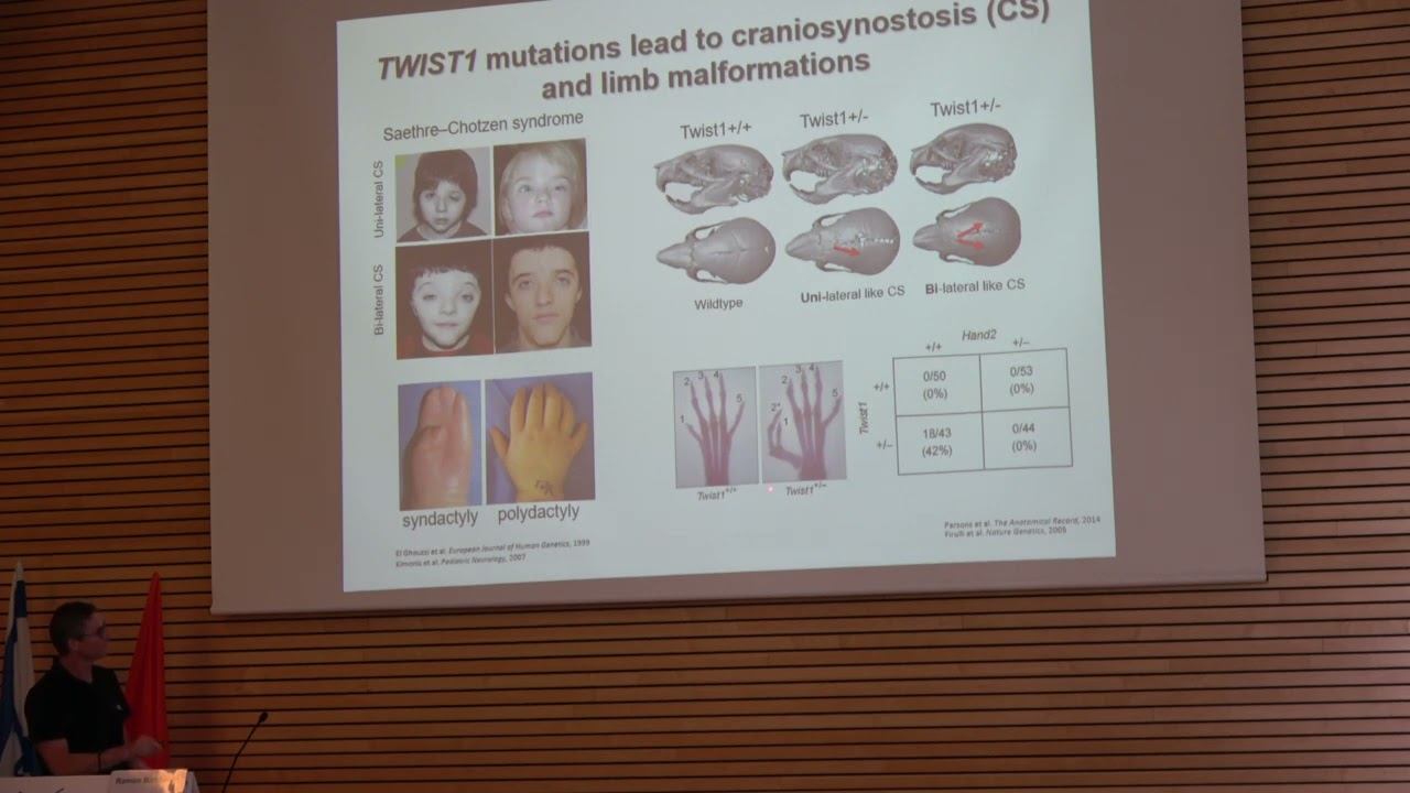 Plasticity and Constancy: Ramon Birnbaum