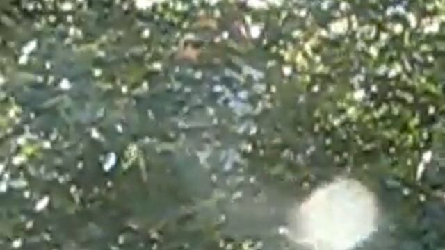 Resgate do balão смотреть онлайн