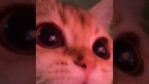 Джиган - ДНК(speedup)