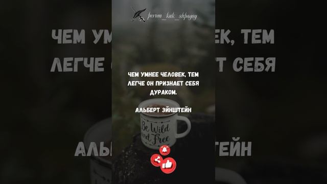 Мудрые мысли о жизни.