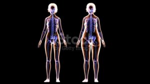 КАК ШОКОЛАДКА И ПОНЧИК УБЬЮТ ТЕБЯ? Сахар - смерть?