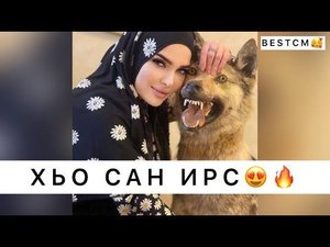 АМАЛИЯ УСТАРХАНОВА НОВИНКА ХЬО САН ИРС🔥😍