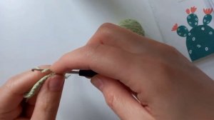 Кактус крючком. Амигуруми. Быстро и просто.