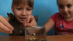 Опыт "Поверхностное натяжение воды"