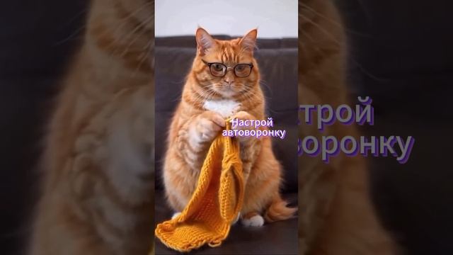 настрой автоворонку смотреть онлайн