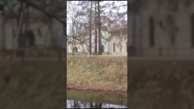 #3749 /30-11-24/ Екатерининский парк, Пушкин...
