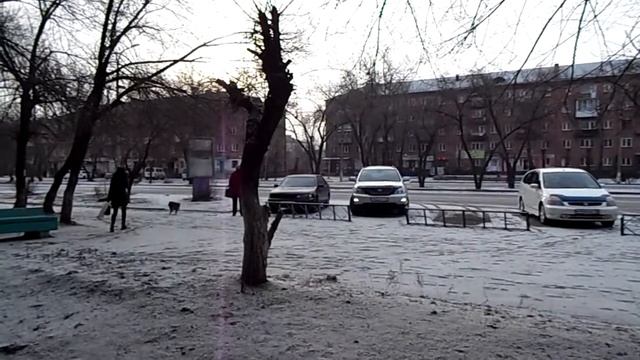 Сюрприз от природы, 20 марта выпал снег