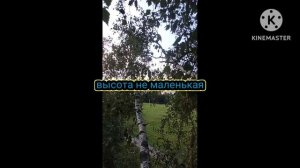 Как я разбила телефон(((