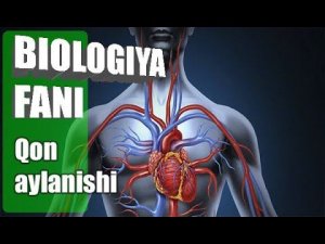 Biologiya fani 8 sinf Qon aylanishi