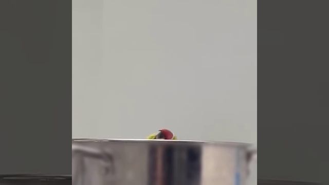 Концовка «Терминатора 2» смотреть онлайн