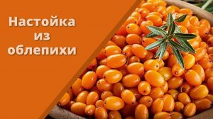 Настойка из облепихи