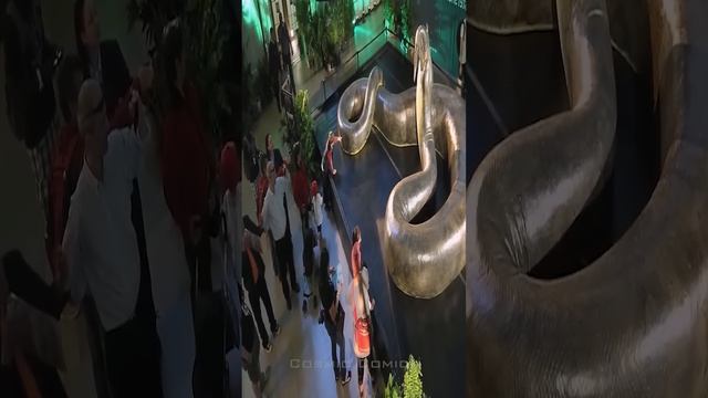 The Largest snake of the history #sciencefacts #spacefacts #snake смотреть онлайн